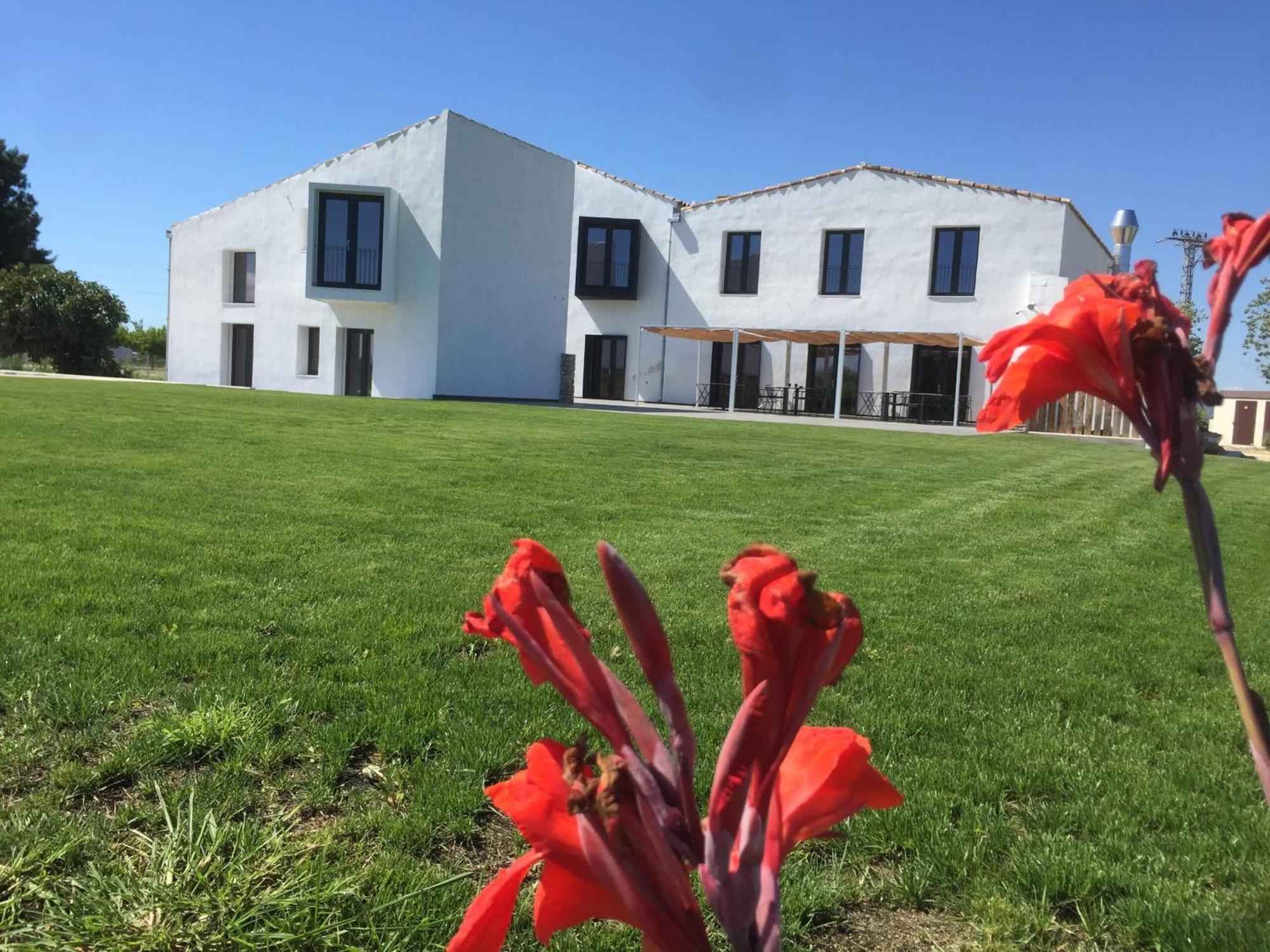 Hotel Mas Catxina Deltebre Eksteriør billede
